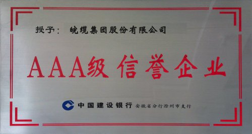 AAA级信誉企业