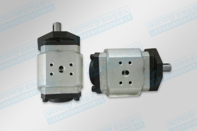 内啮合齿轮泵型号SNCB3技术说明文档