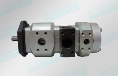 塞纳瑞内啮合齿轮泵双联泵各型号的技术说明文档