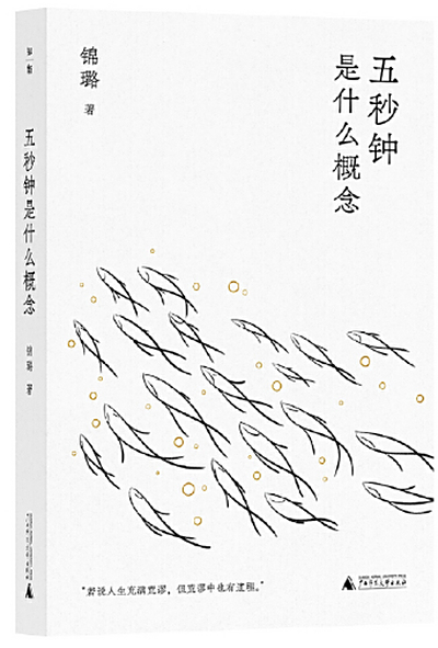 《五秒钟是什么概念》