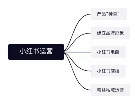 品牌方的小红书运营团队组织架构设计方案