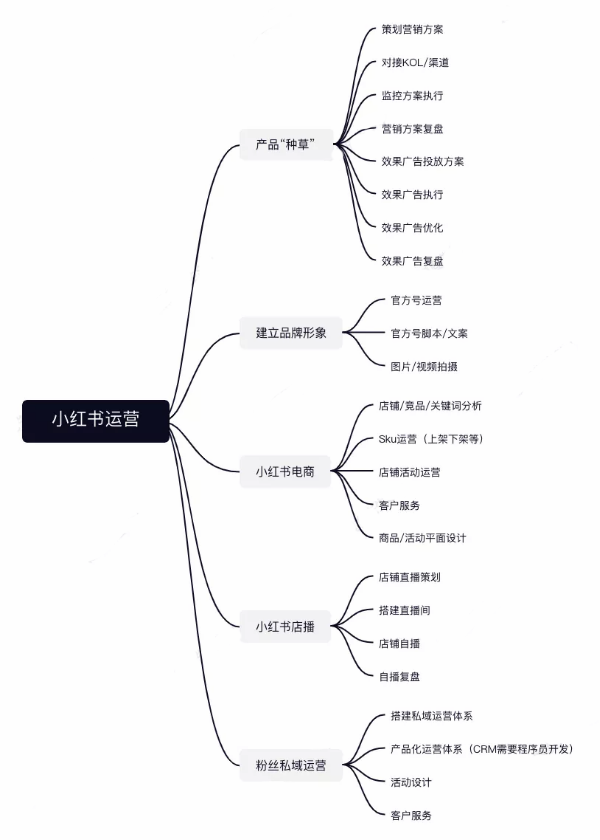 品牌方的小红书运营团队组织架构设计方案