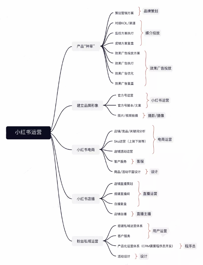 品牌方的小红书运营团队组织架构设计方案