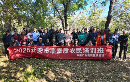 田间课堂传实技 栗乡振兴育新人——迁安职教中心2025年板栗产业高质量发展培训班圆满落幕