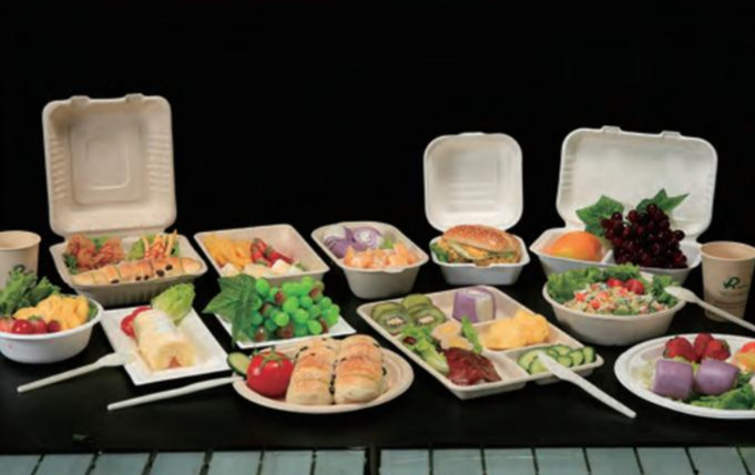 molded fiber - sugarcane