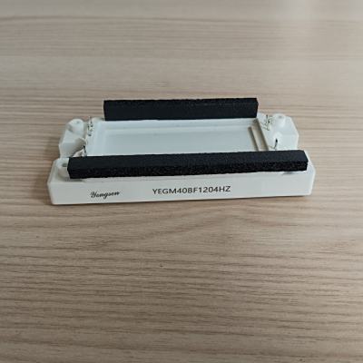 YEGM40BF1204HZ YE IGBT Insulated Gate Bipolar Transistor