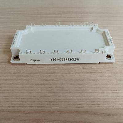 YEGM75BF120L5H YE IGBT Insulated Gate Bipolar Transistor