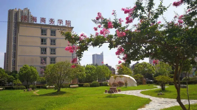 绿海商务1