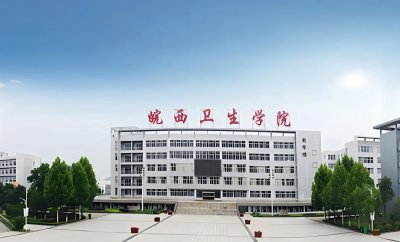 皖西医2