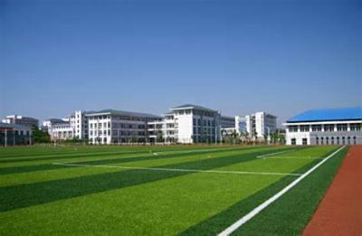 OIP-C