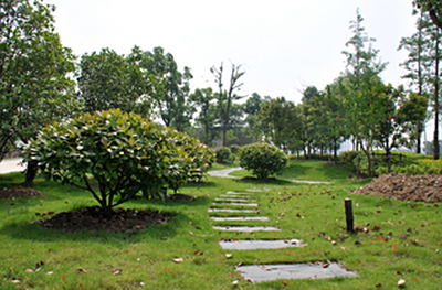 安徽城市管理职业学院-4