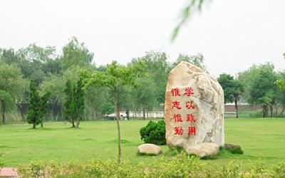 1553681569_7365_thumb