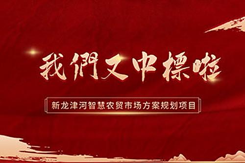 新龙津河智慧农贸市场方案规划项目