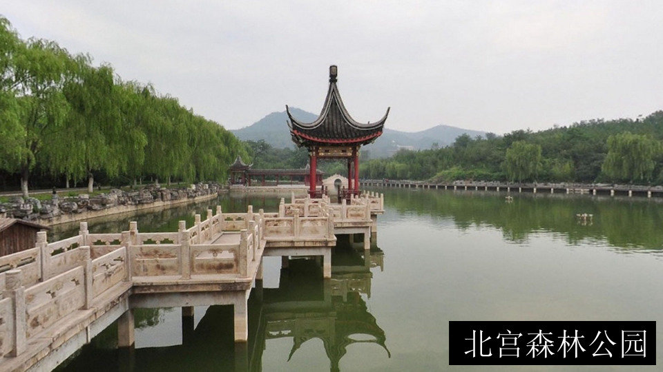 北宫森林公园
