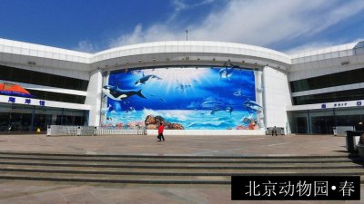 北京动物园•春