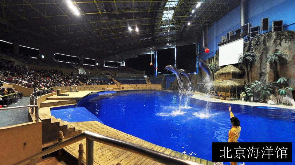北京海洋馆