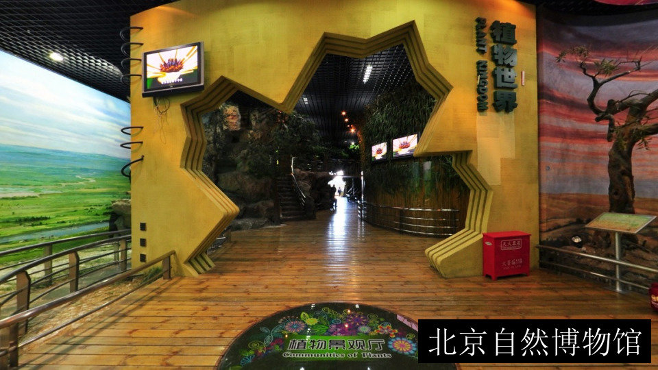 北京自然博物馆
