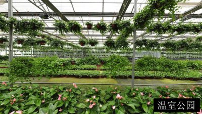 温室公园