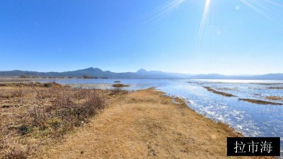 拉市海