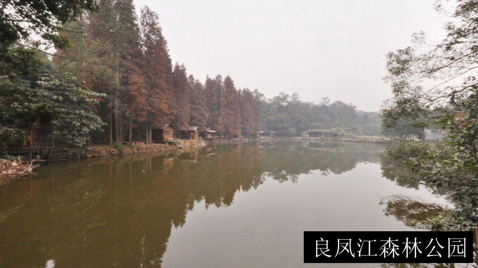 良凤江森林公园