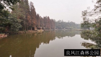 良凤江森林公园