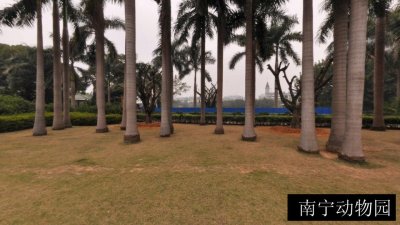南宁动物园