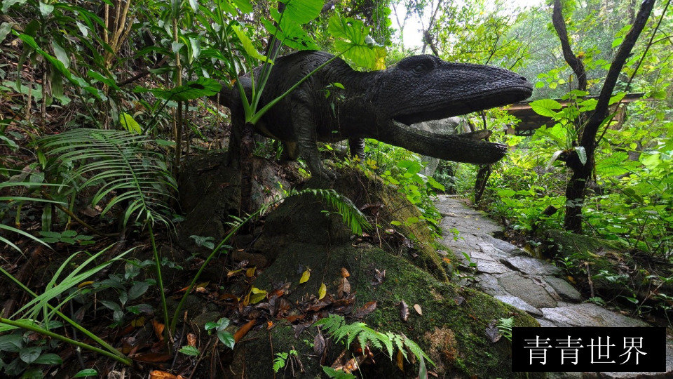 青青世界