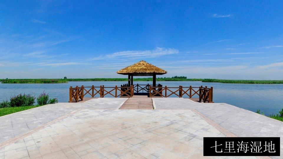 七里海湿地
