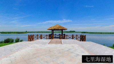 七里海湿地