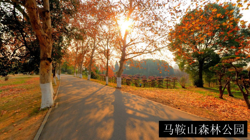马鞍山森林公园