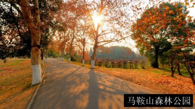 马鞍山森林公园