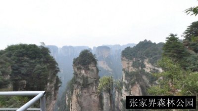 张家界森林公园