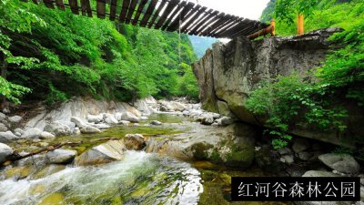 红河谷森林公园