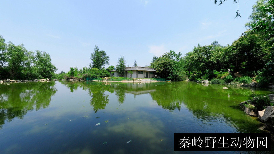 秦岭野生动物园