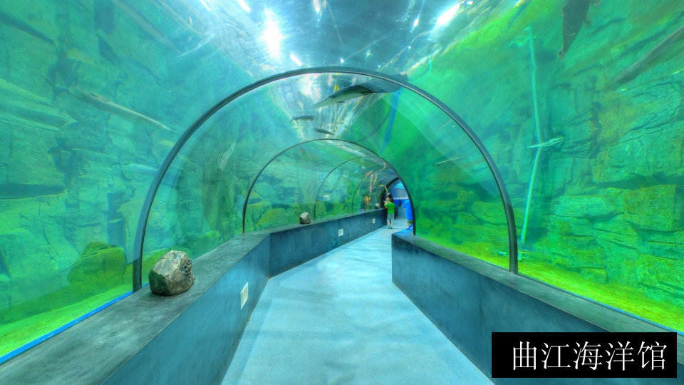 曲江海洋馆