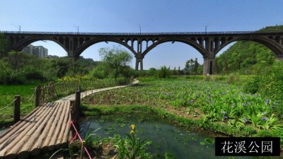 花溪公园
