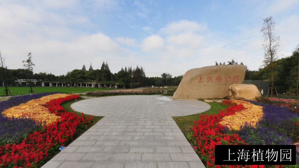 上海植物园