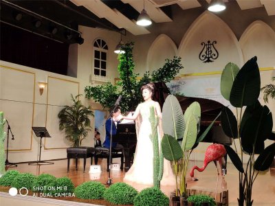 爱尔特钢琴艺术2019新年音乐会