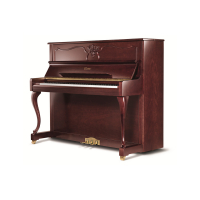 艾塞克斯-EUP-123CL