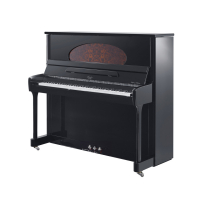 博兰斯勒-Professional Edition专业A系列-A8TY