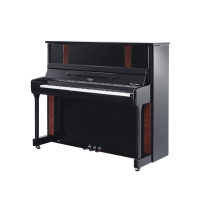 博兰斯勒-Professional Edition专业A系列-A6DS