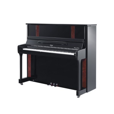 博兰斯勒-Professional Edition专业A系列-A6DS