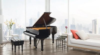 如何挑选一架高品质的钢琴？（下篇）