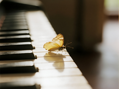 如果没有黑键，钢琴将失去什么？