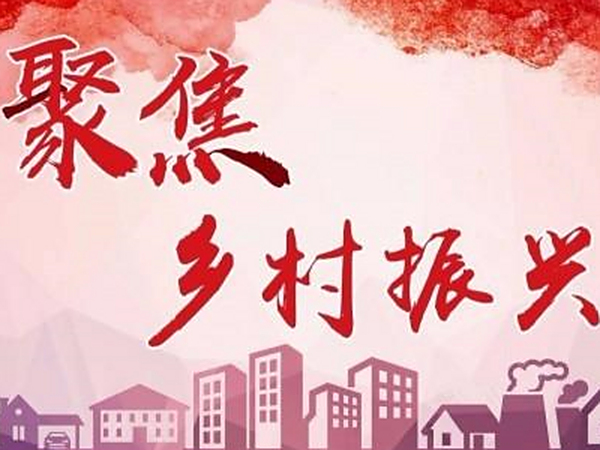 乡村振兴战略推进的基本内容和发展机会