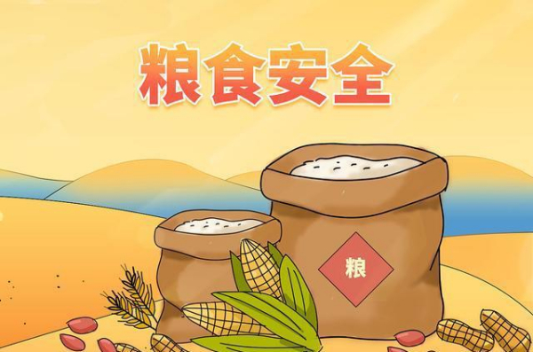 关于学习宣传粮食安全保障法的通知