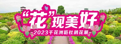 门票特价19.9元起！惠州千花洲首届簕杜鹃花展来了，邀您打卡十万方醉美花海！