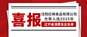 喜报！红梅食品光荣入选2025年辽宁省消费名企名单！