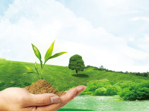 《中国的能源转型》白皮书