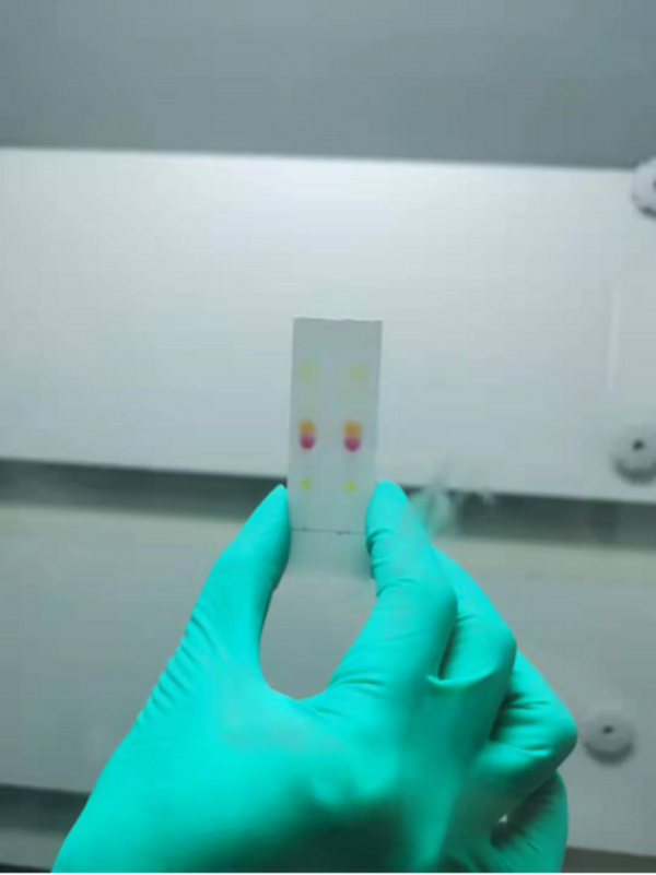 科谱诺|薄层层析原理相关介绍